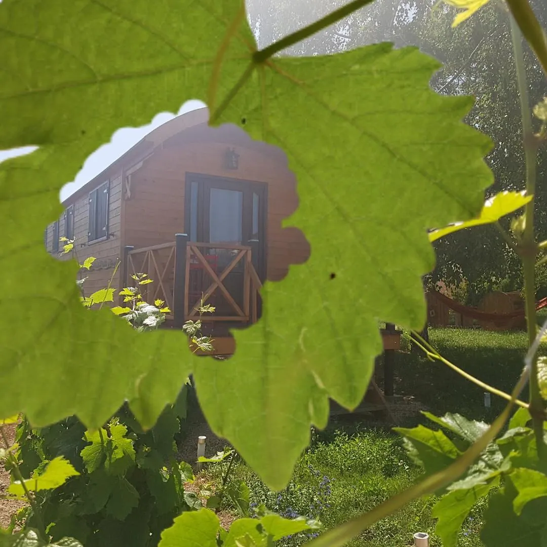 Roulotte Et Gite De Chiroubles Landhuis